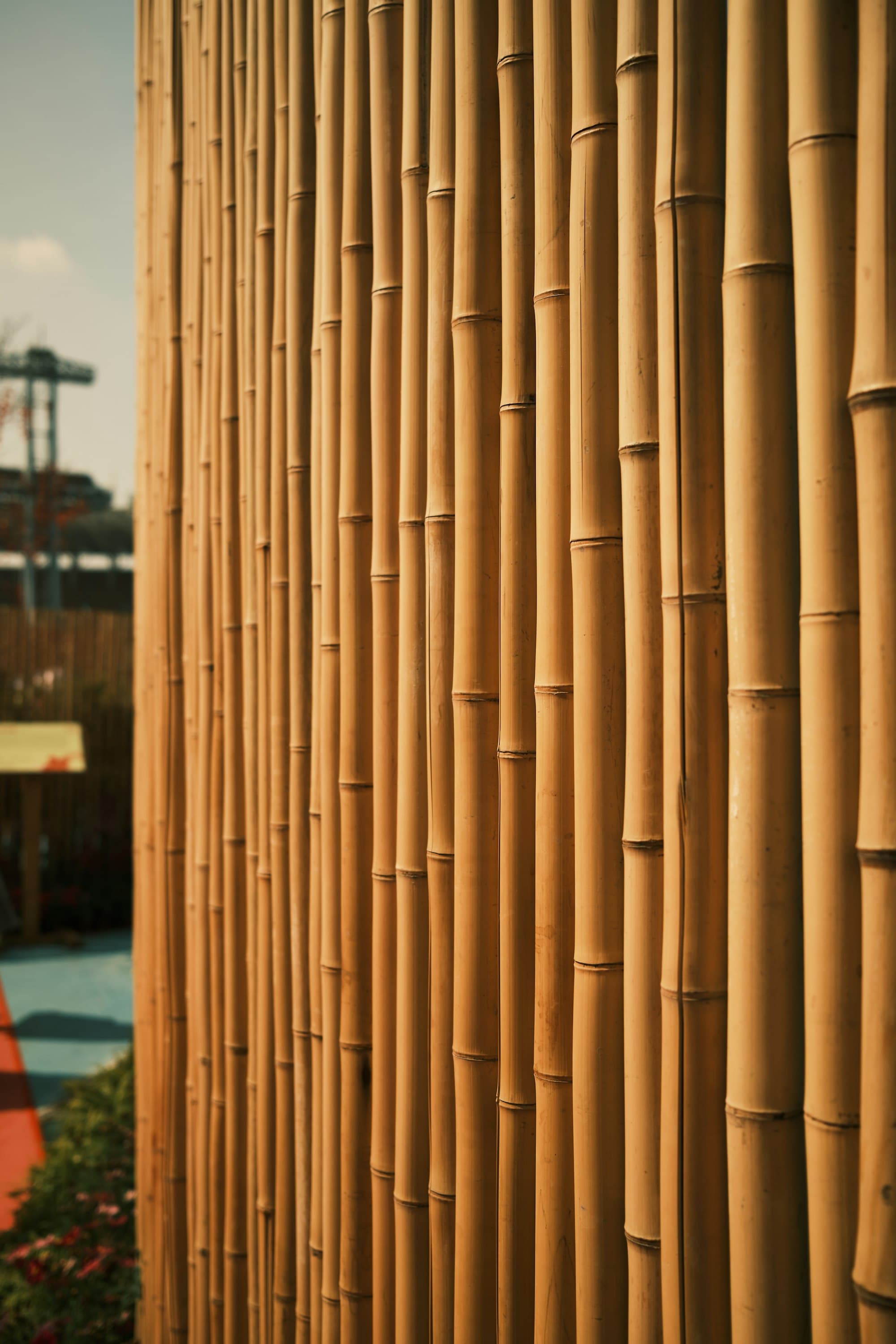 Bamboo Jafri