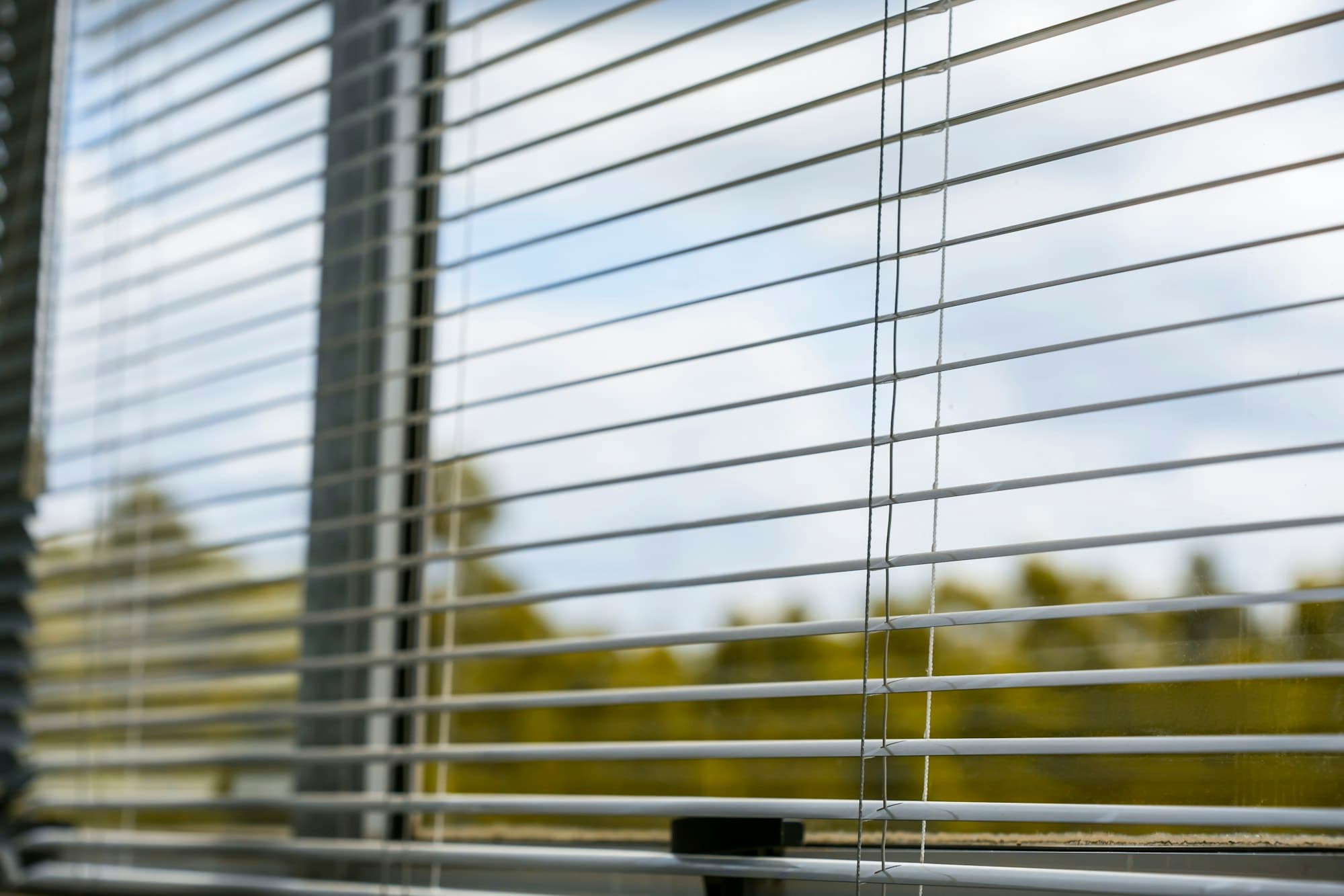 Roller Blinds
