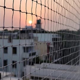 Pigeon Net — Dwarka, Delhi