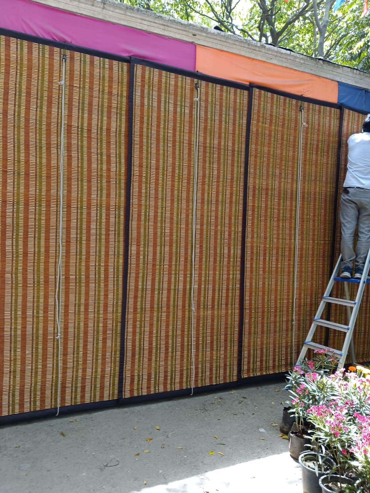 Outdoor Privacy Wall — Vasant Vihar, Delhi